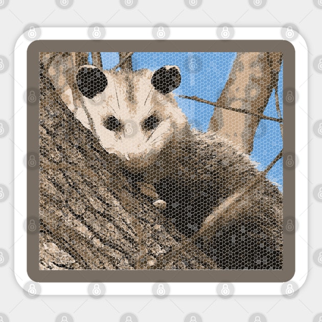 Possum Sticker by shimodesign